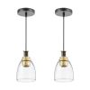 VEVOR Pendant Light 1-Light Pendant Lighting with Glass Shade Adjustable Height
