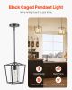 VEVOR Black Pendant Light Iron Cage Metal Pendant Lighting with Glass Shade