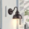 2 Pack 1 light dusk to dawn outdoor wall light