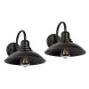 Gooseneck wall sconce light