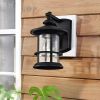 2 Pack outdoor wall light